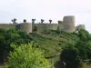 Castello di Léhon - Monumento a Dinan