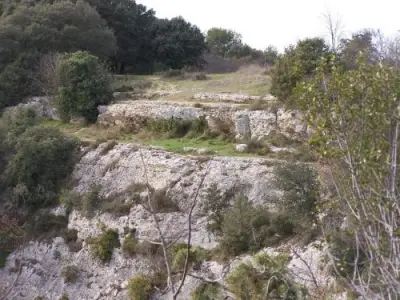 Dions Tourism, Holidays & Weekends