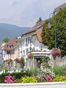 Divonne-les-Bains, centrum van de stad