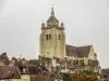 Above the rooftops of the city, the collegiate church of Dole (© J.E)