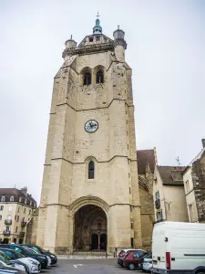 ドール大学教会のポケットと尖塔（©J.E）