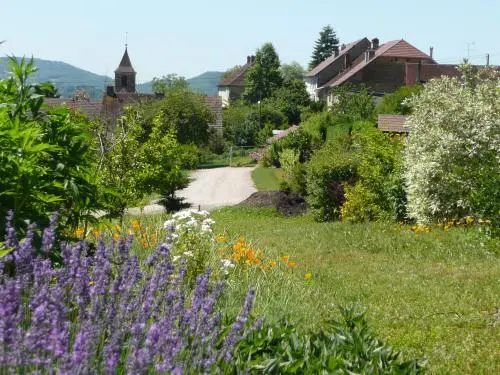 Domblans - Guía turismo, vacaciones y fines de semana en Jura