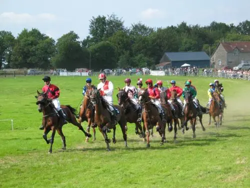 Racecourse of the Croix des Landes - Leisure centre in Domfront en Poiraie