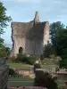 Domfront en Poiraie - Dungeon Castello
