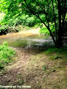 Ford flat stones, Neolithic