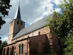 The Protestant Church