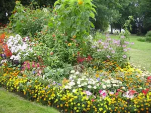 Balade fleurie dans le parc du château