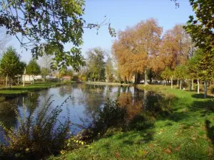 Étang dans le parc du château