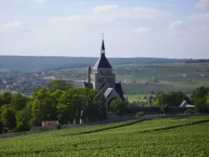 das Memorial sah Weinberge