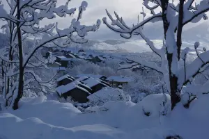 Dorres onder de sneeuw (© M. Cambien)