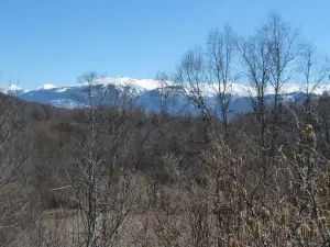 Vue sur le Puigmal (© S. Candau)