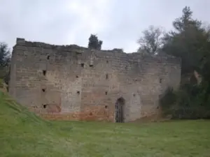 Doué-la-Fontaine - Casa carolingia