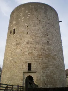 Donjon du château