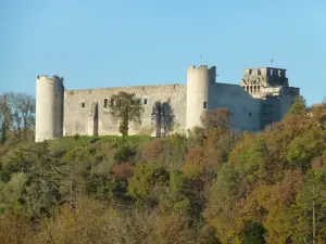 Castello di Druyes XII secolo