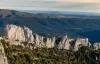 Peyrepertuse merges with the rock