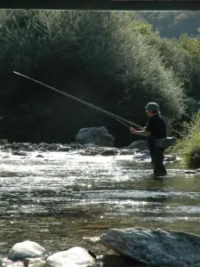 La pêche