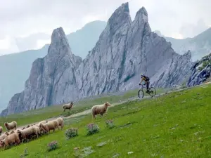 Gourette - Descente VTT