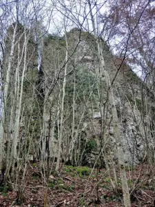 Una roccia dei Dodici Apostoli ( © Jean Espirat )