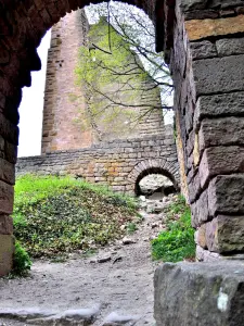 Ruinas de Dagsbourg, vistas de la fachada norte (© JE)
