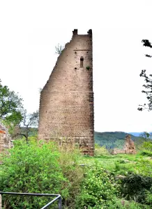 Ruines de la tour du Dagsbourg, vues côté sud (© J.E)