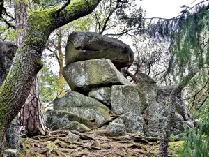 Rocher Turenne oder Hexenfels (© JE)