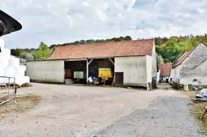 Fattoria del villaggio