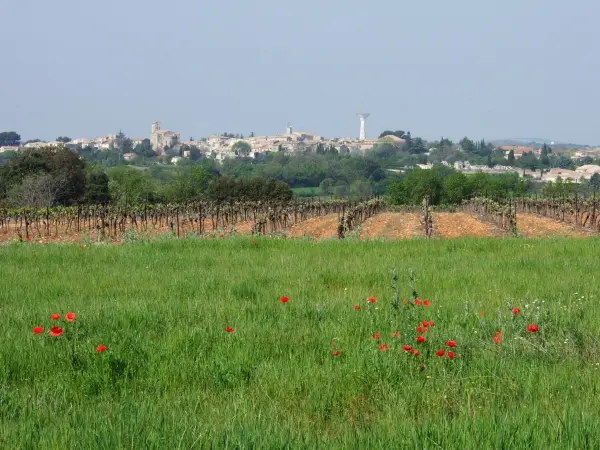 Entre-Vignes - Guide tourisme, vacances & week-end dans l'Hérault