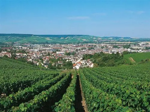 Épernay in the vineyards (© Jolyot)