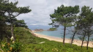 Depuis le sentier côtier, la vue est magique