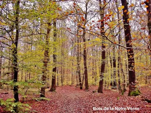 Errevet Tourisme, Vacances & Weekend