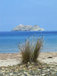 Desde Barcaggio playa, con vistas a la isla de Giraglia