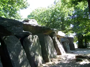 Dolmen von dem Roche aux Fees