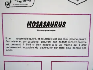 Mosasaurus (© J.E)