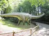 Diplodocus (© J.E)