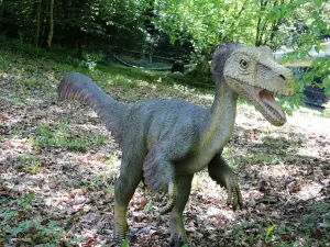 Velociraptor (© J.E)