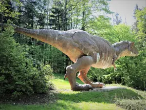 Tyrannosaurus-Rex (© J.E)
