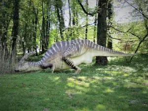Parasaurolophus (© J.E)