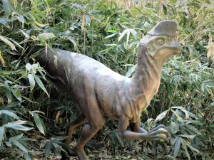 Oviraptor (© J.E)