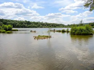 Ornithologisches Reservat des Malsaucy-Sees (© J.E)