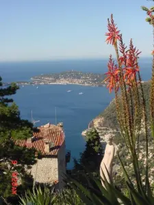 Garden Èze en panorama (© Bureau voor Toerisme van Èze)