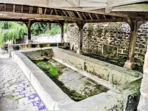 Bassin de la fontaine-lavoir, près de l'ancienne église (© J.E)