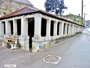 Remarkable fountain-washhouse (© Jean Espirat)