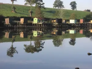 Pontoon fishing pond dam