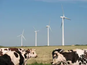 Windturbines van Fécamp