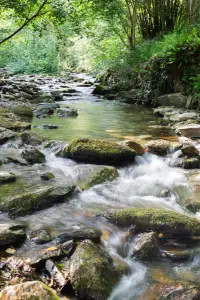 Source de la Cesse à Ferrals-les-Montagnes