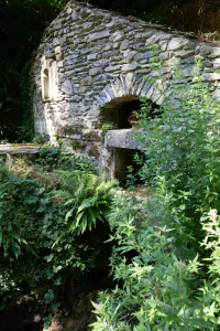 Source de la Cesse à Ferrals-les-Montagnes