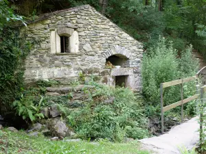 Source de la Cesse à Ferrals-les-Montagnes