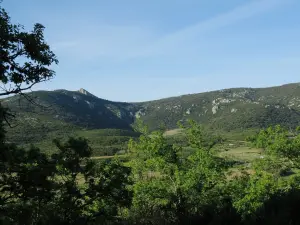 Feuilla周辺のハイキングコースの風景