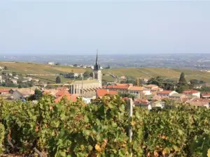 Aldeia de Fleurie