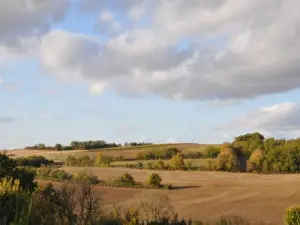 Colline de la Garde au nord-ouest de Fontaine-Chalendray